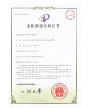 Patent